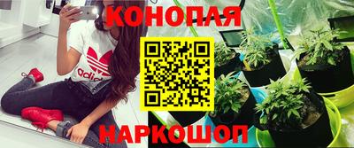 ешки Будённовск